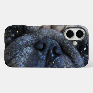 Coques iPhone 16 Obtenez le chien bientôt malade bon de carlin