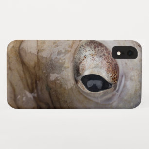 Case-Mate iPhone Case OEil octopique