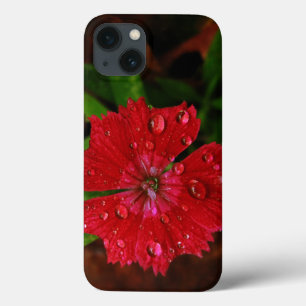 Case-Mate iPhone Case Œillet rouge avec gouttes de pluie
