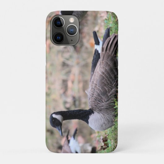 Coques Case-Mate iPhone Oie (Dos)