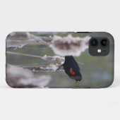 Coques Case-Mate iPhone Oiseau à ailes rouges (Agelaius phoeniceus) (Dos (Horizontal))