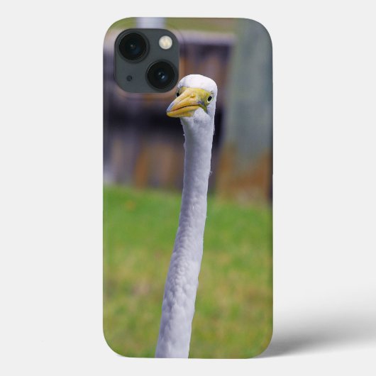 Coques Case-Mate iPhone Oiseau avec le long cou (Verso)