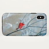 Coques Case-Mate iPhone Oiseau cardinal rouge en hiver gelé et neige (Dos (Horizontal))