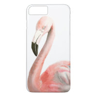 Oiseau de Flamant rose tropical