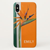 Oiseau de fleur du Paradis