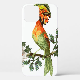 Case-Mate iPhone Case Oiseau de Paradis et fleurs exotiques sur un fond