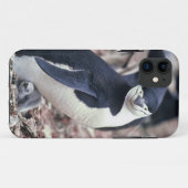 Coques Case-Mate iPhone Oiseau de pingouin mignon animal noir eau blanche (Dos (Horizontal))