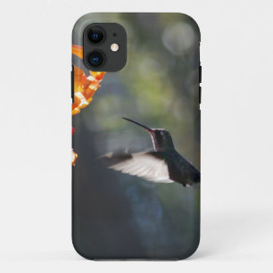 Coques Pour iPhone Oiseau de ronflement
