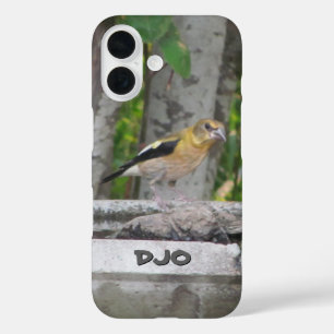 Coques iPhone 16 Oiseau en colère avec vos initiales
