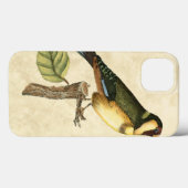 Coques Case-Mate iPhone Oiseau jaune et vert été perché sur une petite (Verso (horizontal))