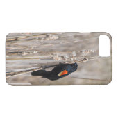 Coques Case-Mate iPhone Oiseau noir à ailes rouges (Dos (Horizontal))