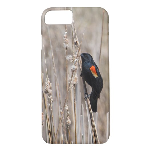 Coques Case-Mate iPhone Oiseau noir à ailes rouges (Dos)