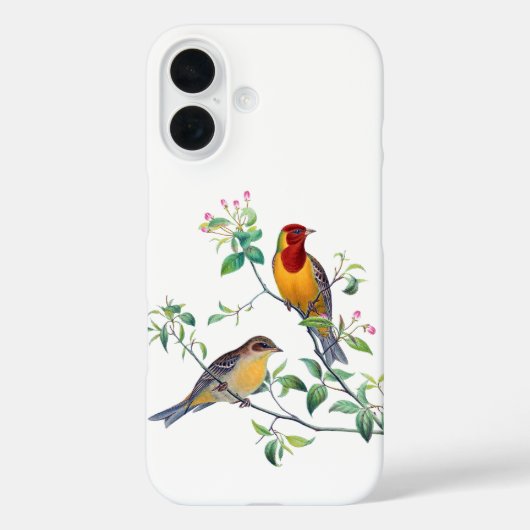 Coques Case-Mate iPhone Oiseaux bariolés sur des branches (Verso)