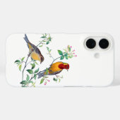Coques Case-Mate iPhone Oiseaux bariolés sur des branches (Verso (horizontal))