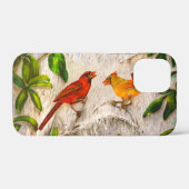 Coques Case-Mate iPhone Oiseaux cardinaux peints (Verso (horizontal))