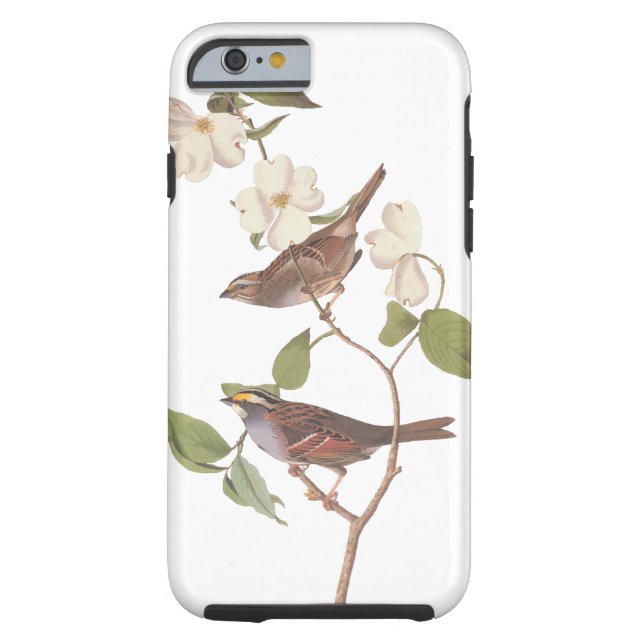 Coques Case-Mate iPhone Oiseaux d'Audubon du Bruant à gorge blanche en Dog (Dos)