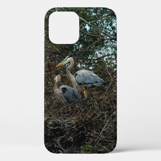 Coques Case-Mate iPhone Oiseaux de Héron Bleu Plutôt (Verso)