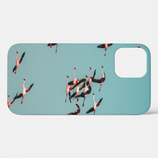 COQUES Case-Mate iPhone OISEAUX NOIRS ET BLANCS (Verso (horizontal))