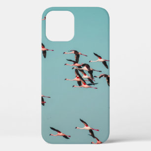 Case-Mate iPhone CASE OISEAUX NOIRS ET BLANCS