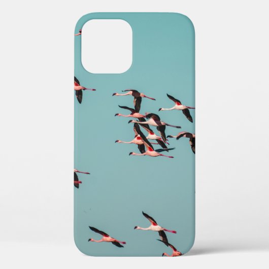 COQUES Case-Mate iPhone OISEAUX NOIRS ET BLANCS (Verso)