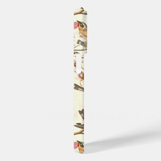 Coques Case-Mate iPhone Oiseaux sur une branche (Verso / Droite)