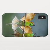 Coques Case-Mate iPhone Oiseaux verts s'éternisent dans les arbres Photogr (Dos (Horizontal))