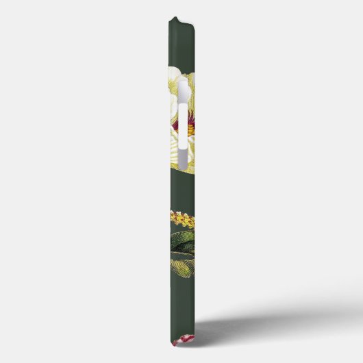 Coques Case-Mate iPhone Okra (Verso / Gauche)