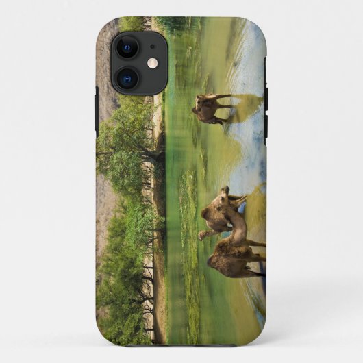 Coques Case-Mate iPhone Oman, Wadi darbat (Dos)