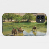 Coques Case-Mate iPhone Oman, Wadi darbat (Dos (Horizontal))