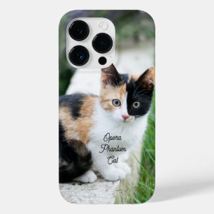 Coque Pour iPhone 14 Pro Opera Phantom Chat