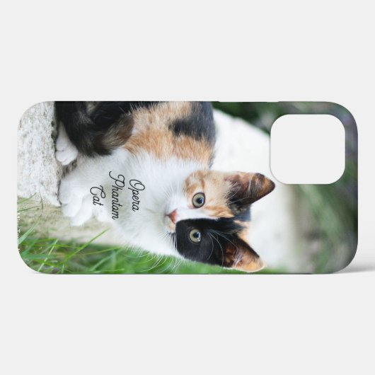 Coques Case-Mate iPhone Opera Phantom Chat (Verso (horizontal))