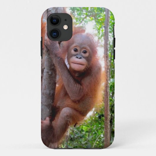 Coques Case-Mate iPhone Orang-outan de bébé d'Uttuh à l'école de jungle (Dos)