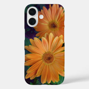 Coques iPhone 16 Orange Daisy