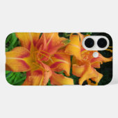 Coques Case-Mate iPhone Orange Daylily Blooms (Verso (horizontal))