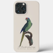 Coques Case-Mate iPhone Orange-Fronted Parakeet, Eupsittula Canicularis (Verso)