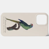 Coques Case-Mate iPhone Orange-Fronted Parakeet, Eupsittula Canicularis (Verso (horizontal))