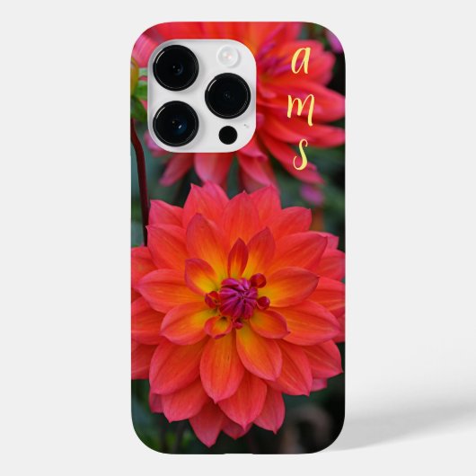 Coques Case-Mate iPhone Orange, Rouge, Fleur Dahlia Jaune (Verso)