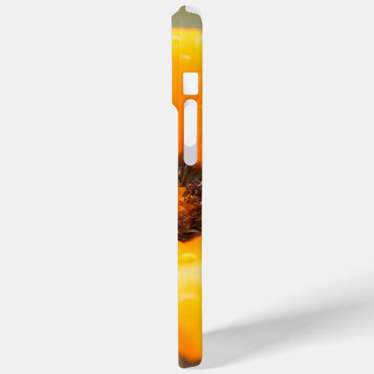 Coques Case-Mate iPhone Orange Spring Flash Fleur de marguerite africaine (Verso / Gauche)