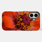 Coques Case-Mate iPhone Orange Zinnia Wildflower Nature Floral (Verso (horizontal))