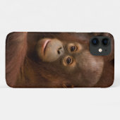 Coques Case-Mate iPhone Orangutan mère et bébé au zoo (Dos (Horizontal))