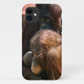 COQUES Case-Mate iPhone ORANGUTANS (Dos)