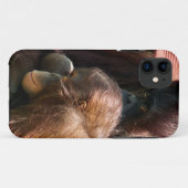COQUES Case-Mate iPhone ORANGUTANS (Dos (Horizontal))