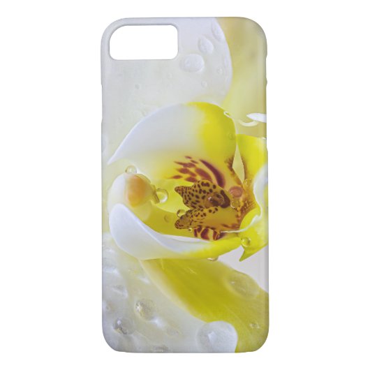 Coques Case-Mate iPhone Orchid Dew (Dos)