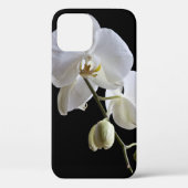 Coques Case-Mate iPhone Orchidée blanche Phalaenopsis sur noir (Verso)