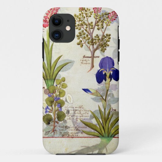 Coques Case-Mate iPhone Orchidée et Fumitory ou Hedera et iris de (Dos)