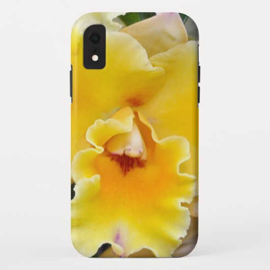 Coques Case-Mate iPhone Orchidée jaune (Dos)