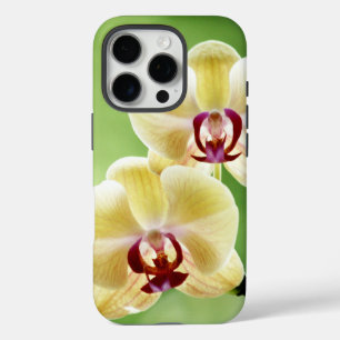 iPhone 16 Pro Case Orchidée jaune et rose