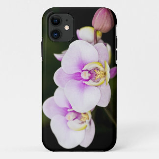 Coque iPhone 11 Orchidée rose