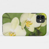Coques Case-Mate iPhone Orchidées blanches sur un arrière - plan vert (Dos (Horizontal))