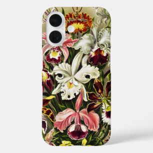 Coques iPhone 16 Orchidées, Orchidée Denusblumen Ernst Haeckel